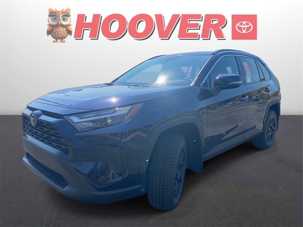 2025 Toyota RAV4 XLE photo 4