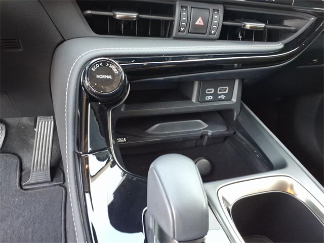 2023 Lexus NX 350h Luxury photo 24