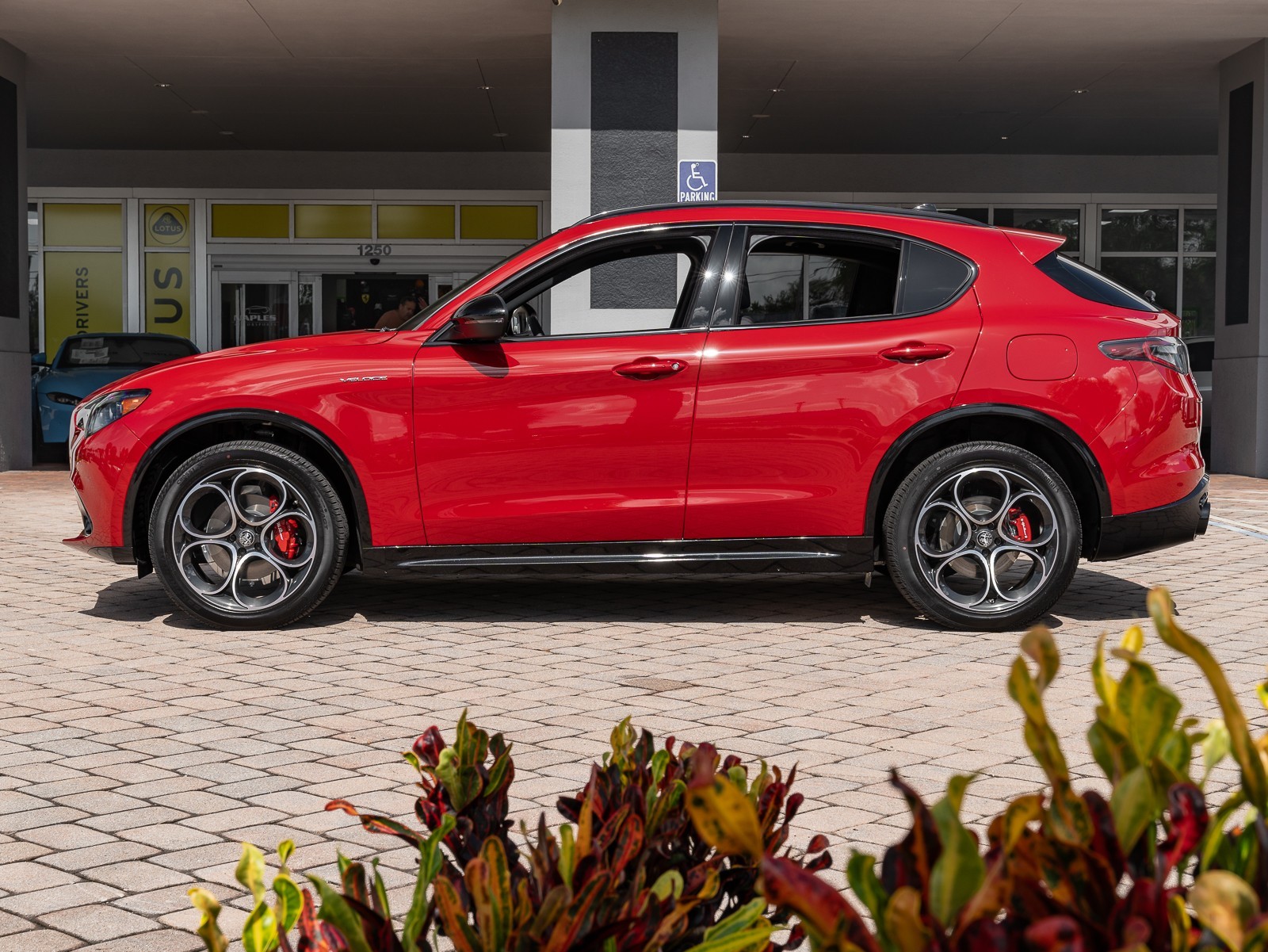 2024 Alfa Romeo Stelvio photo 18
