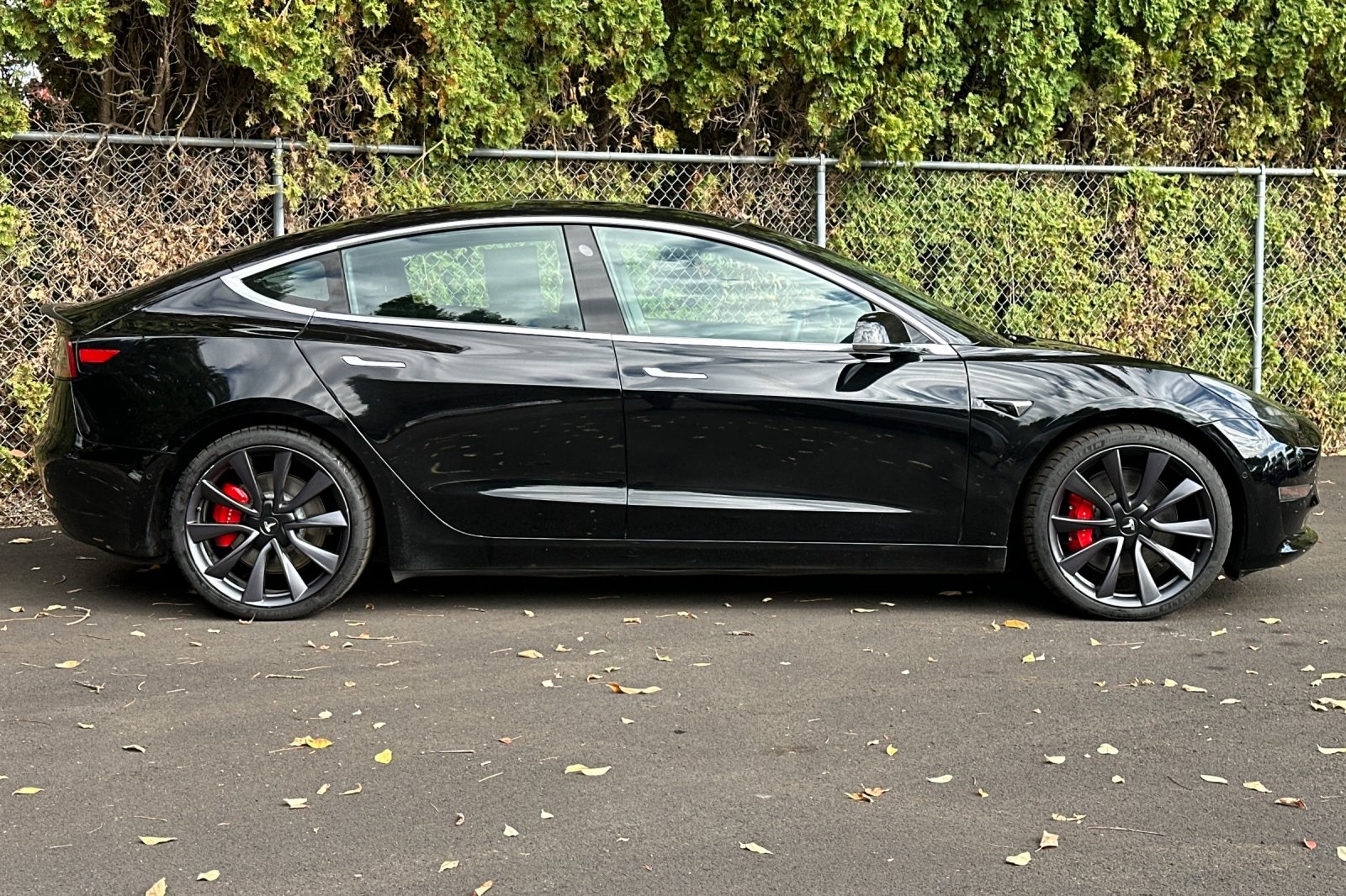 2020 Tesla Model 3 Performance photo 2