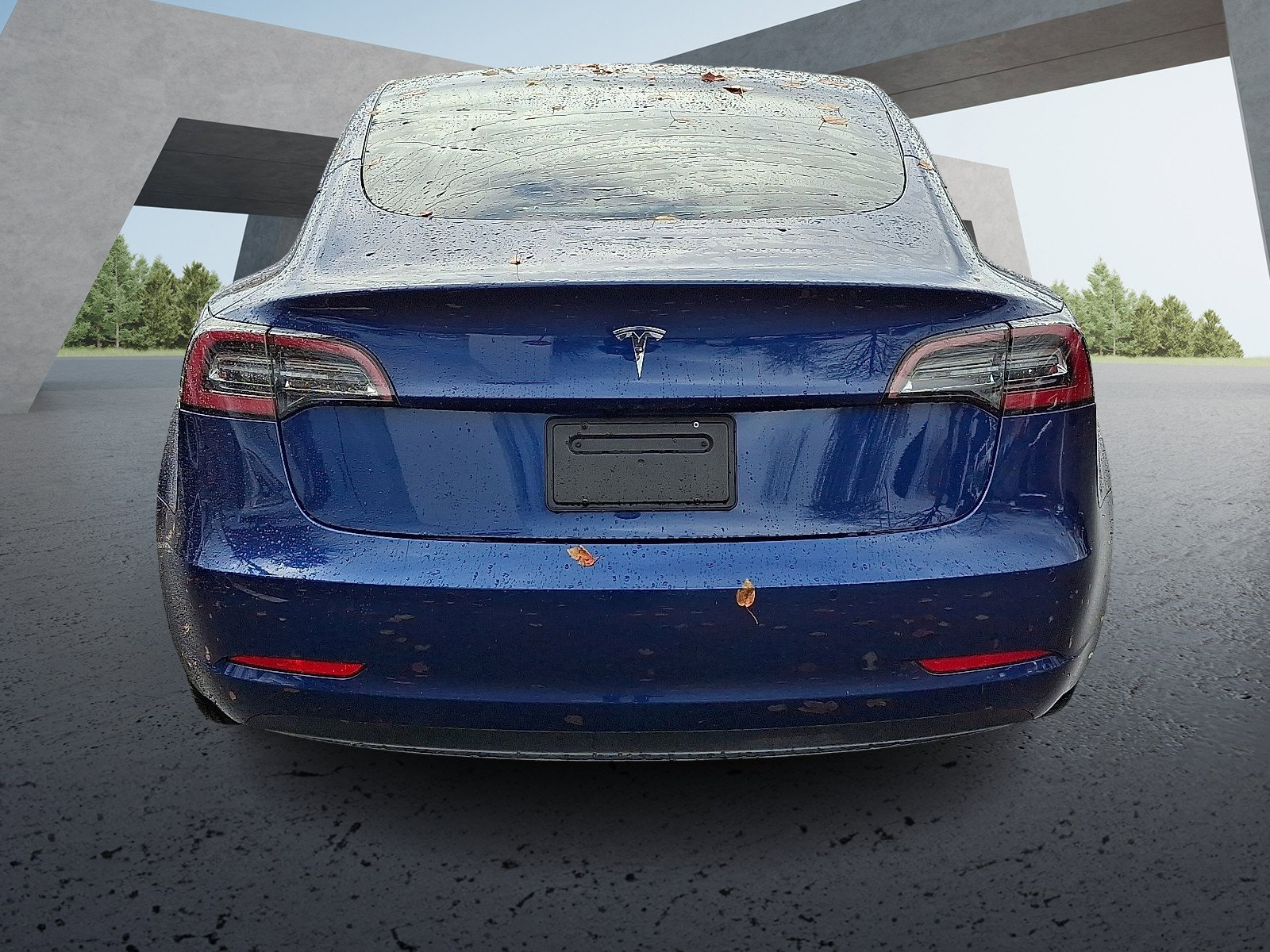 2021 Tesla Model 3 Standard Range Plus photo 4