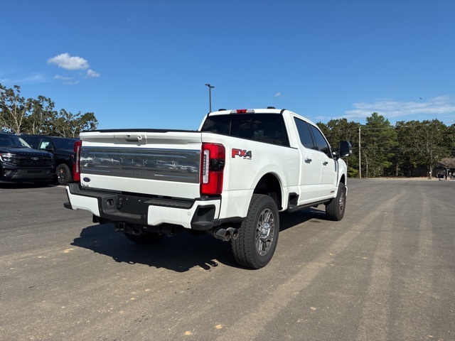2025 Ford F-250 Platinum photo 3