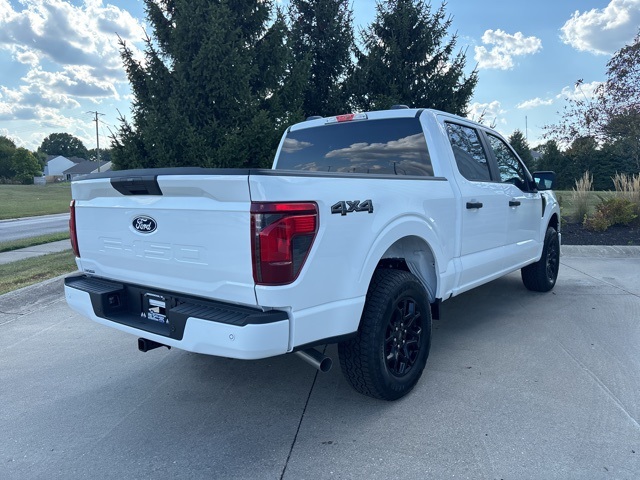 2025 Ford F-150 STX photo 5