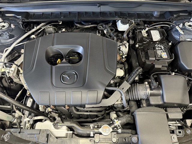 2025 Mazda CX-50 2.5 S Premium photo 28