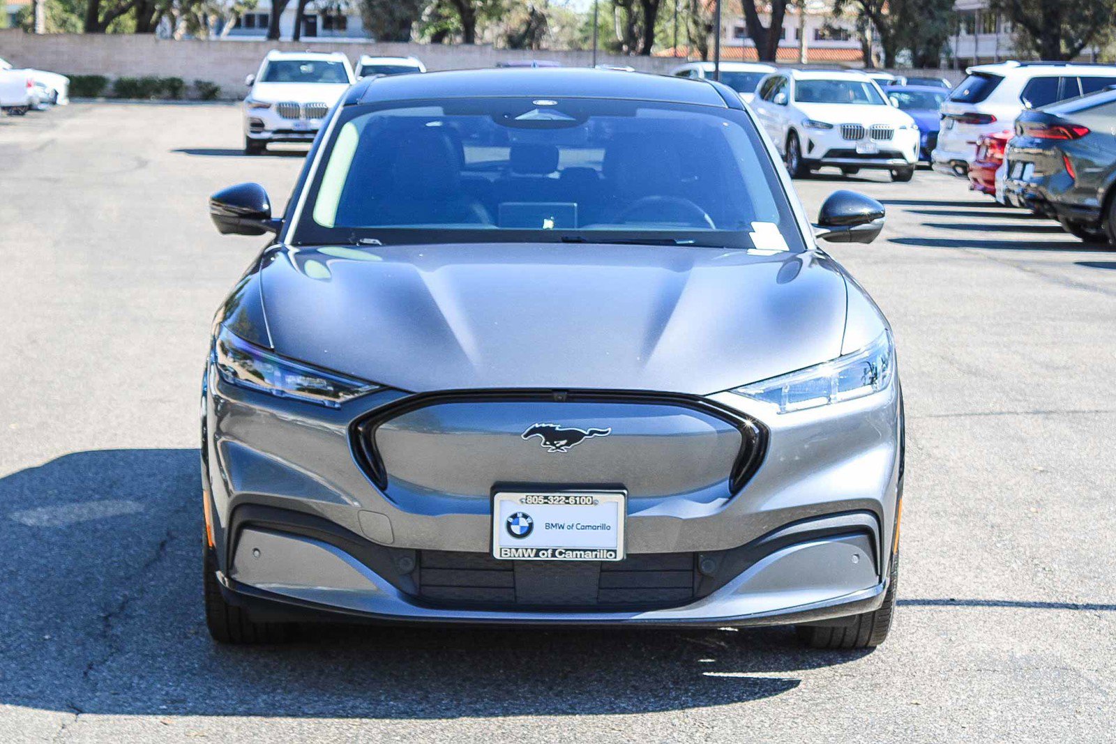 Used 2021 Ford Mustang Mach-E Premium RWD with VIN 3FMTK3R70MMA08803 for sale in Camarillo, CA