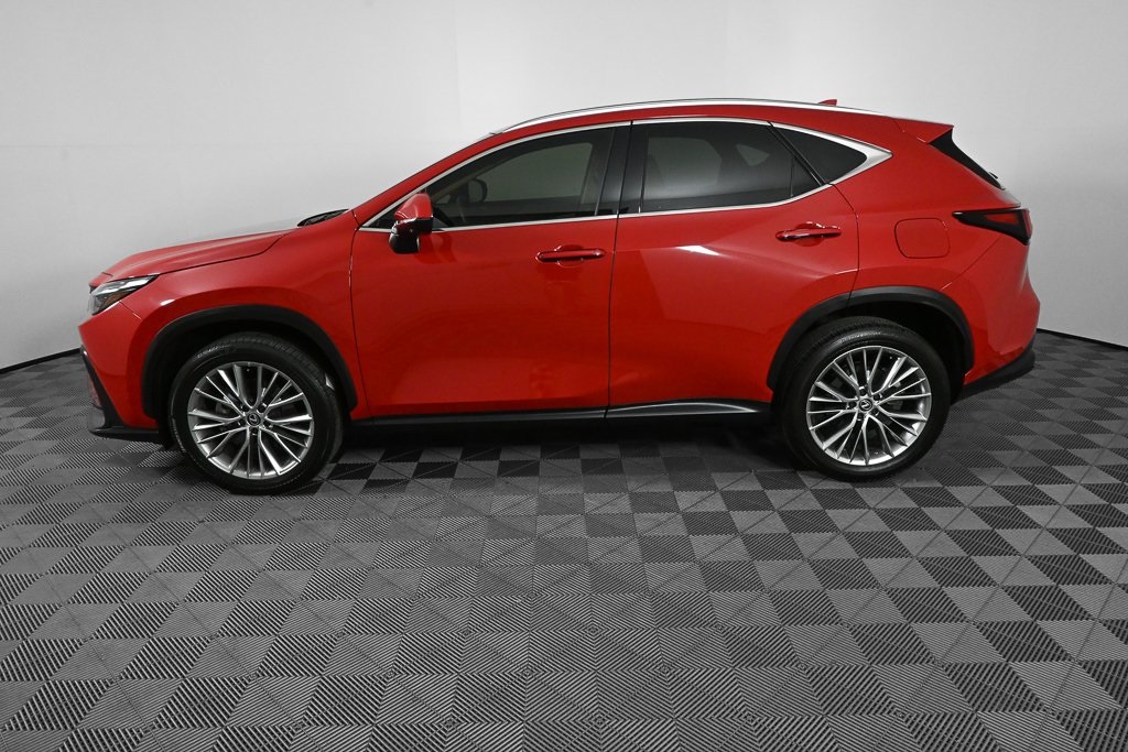 2024 Lexus NX 350 Luxury photo 3