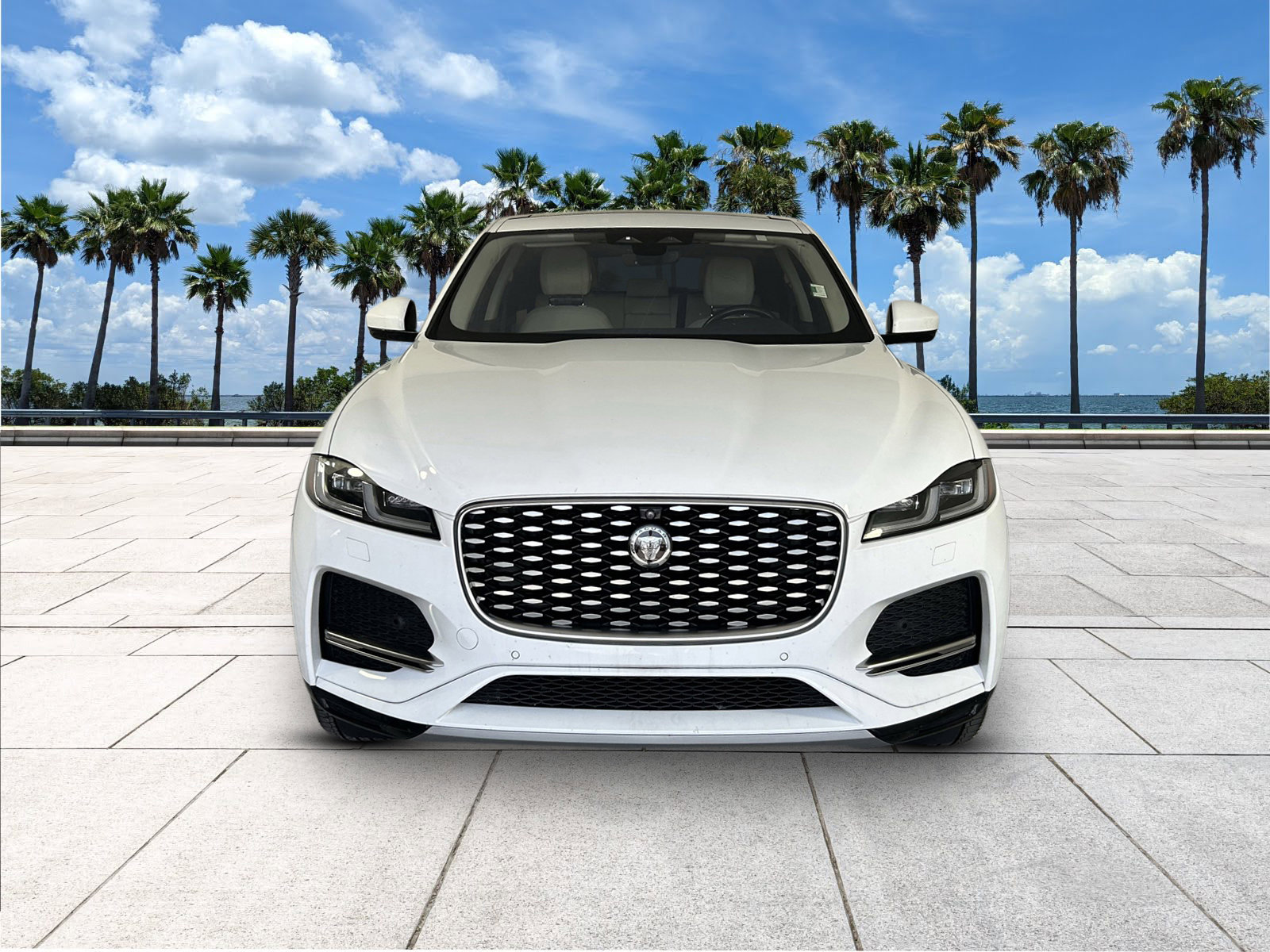 2021 Jaguar F-PACE P250 S photo 3
