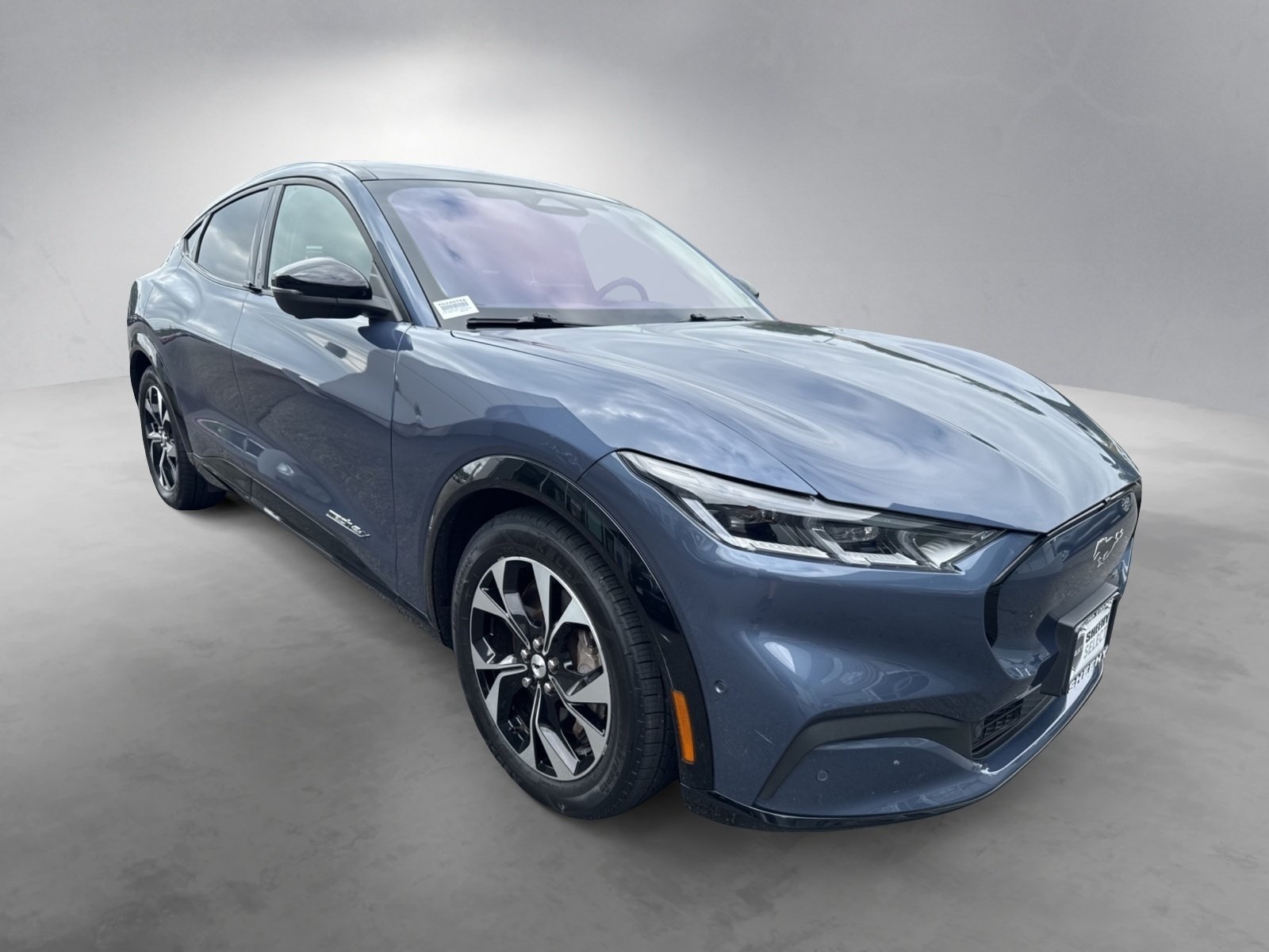 2021 Ford Mustang Mach-E Premium photo 2