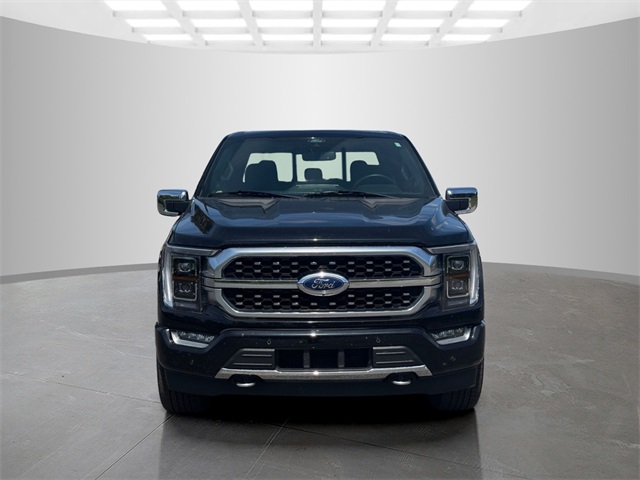 2021 Ford F-150 Platinum photo 2