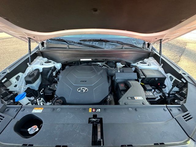 2021 Hyundai Palisade SEL photo 13