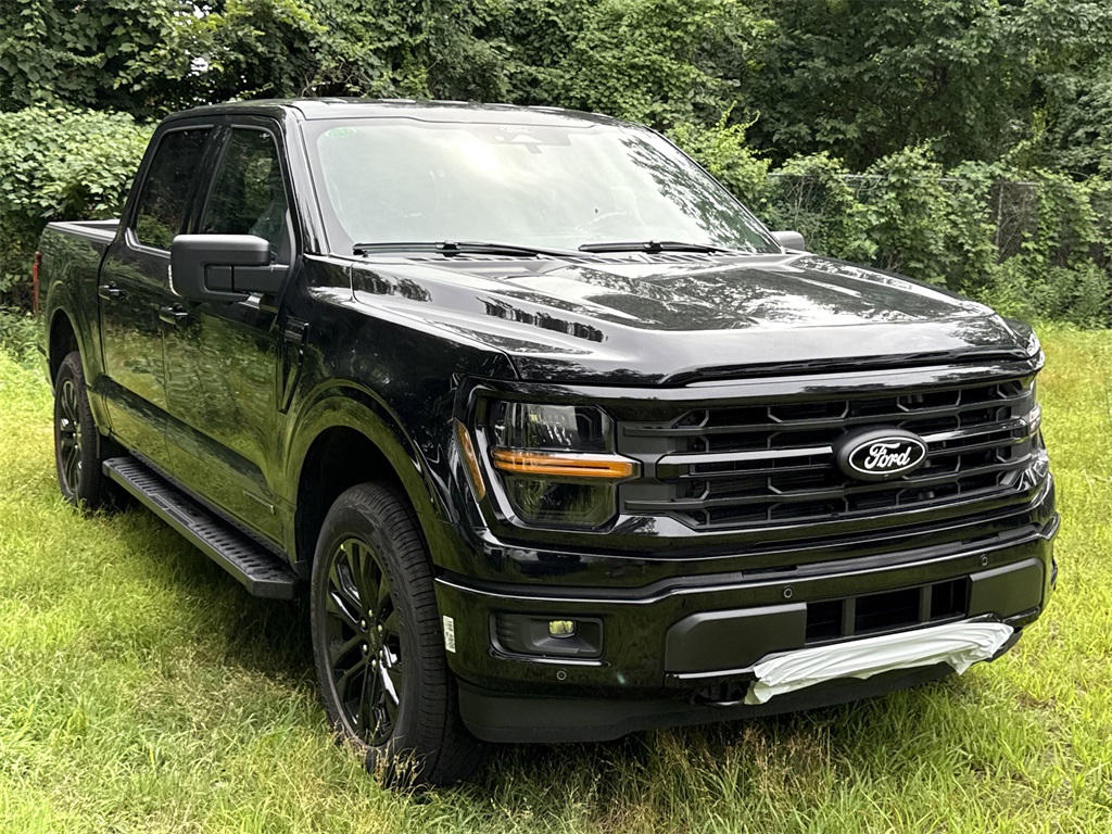 New 2025 Agate Black Metallic Ford XLT image 1