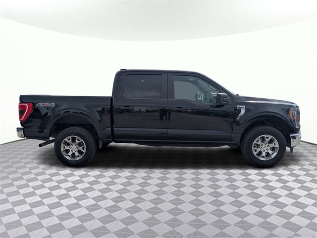 2023 Ford F-150 XLT photo 3