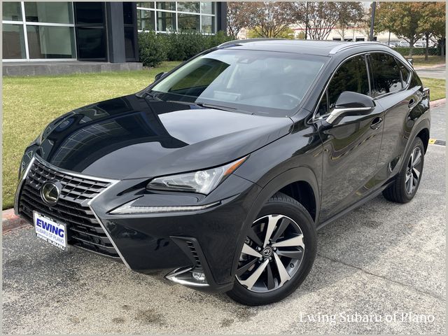 2019 Lexus NX 300's photo
