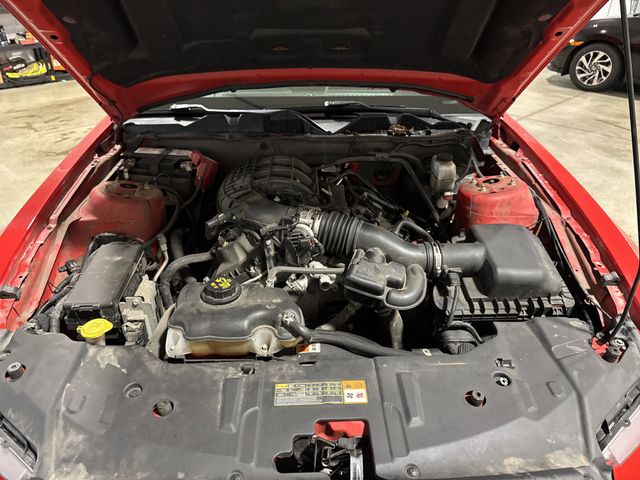 2013 Ford Mustang V6 photo 25