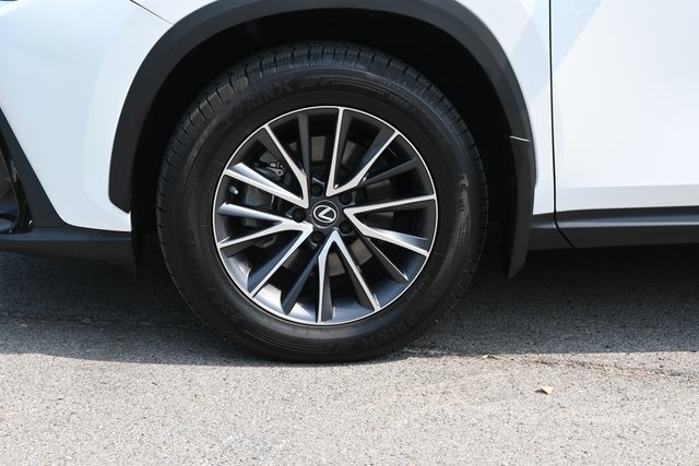 2022 Lexus NX 350 Premium photo 14