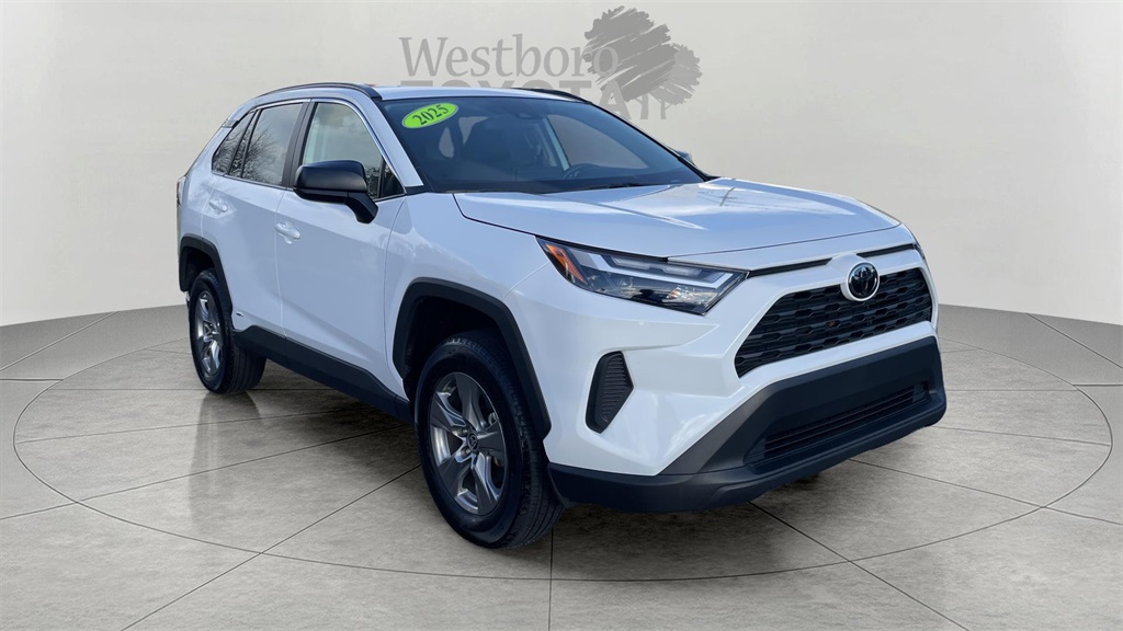 2025 Toyota RAV4 LE's photo