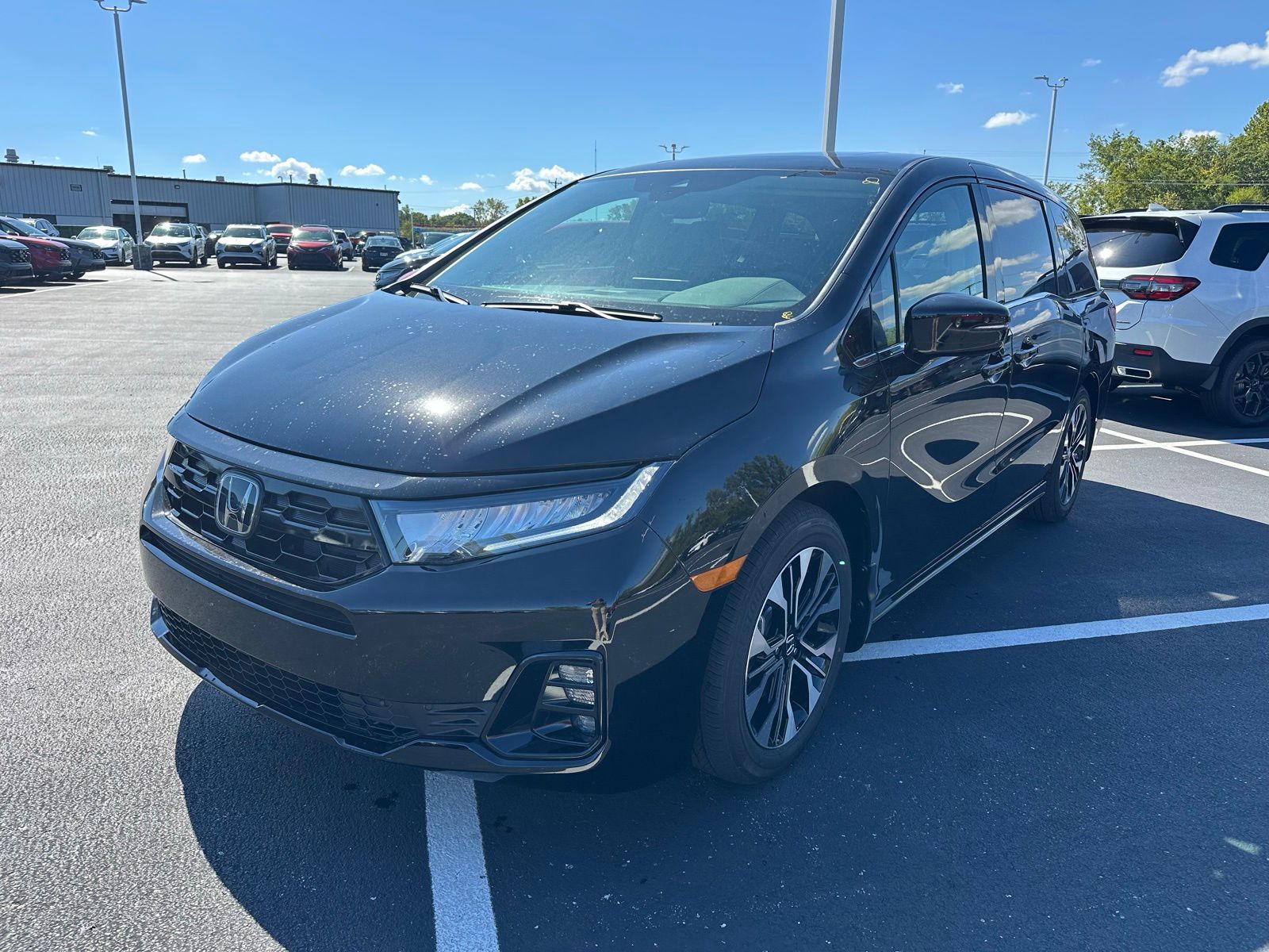 2026 Honda Odyssey Elite's photo