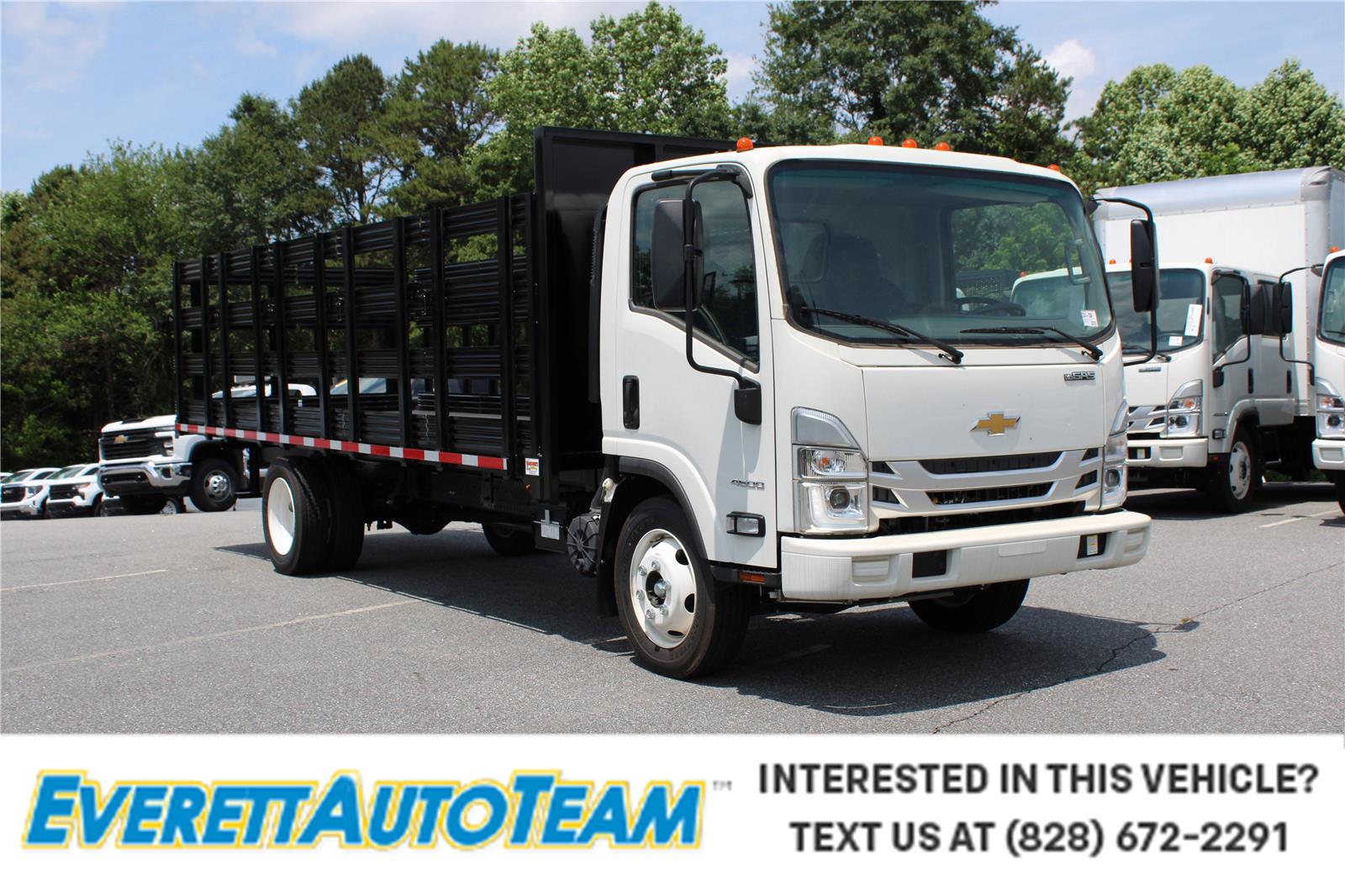 2024 Chevrolet Low Cab Forward Base's photo