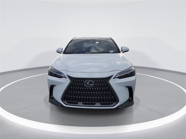 2026 Lexus NX 350h photo 3