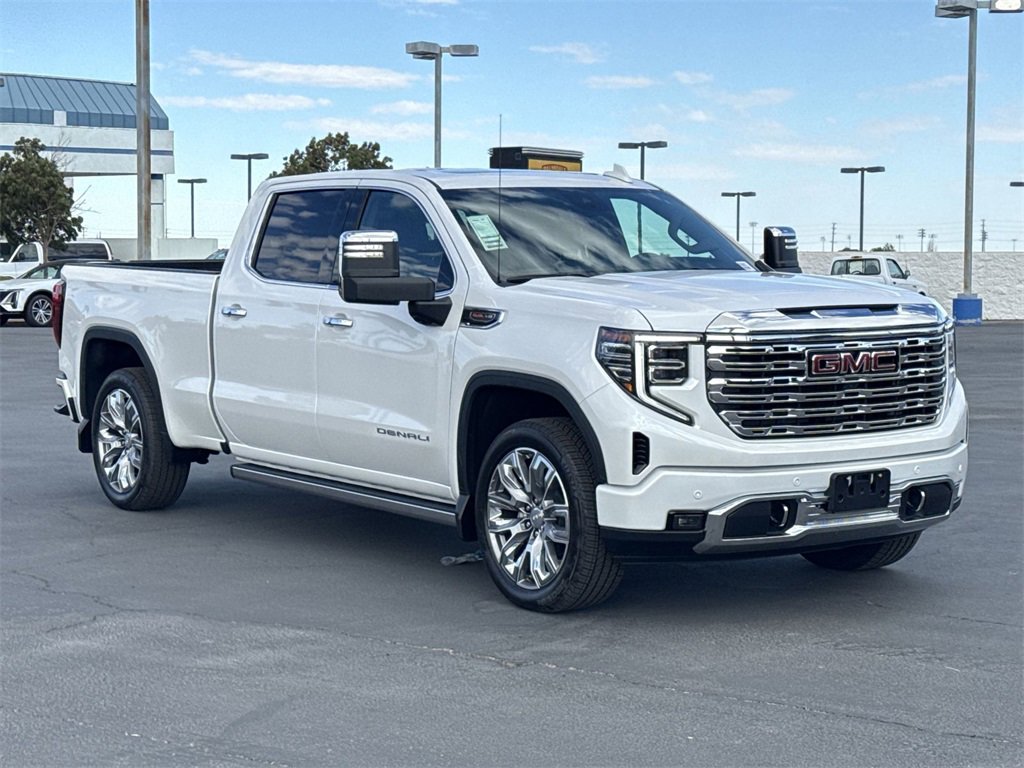2025 Gmc Sierra 1500 Denali photo 3