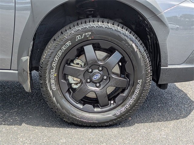 2025 Subaru Outback Wilderness photo 10