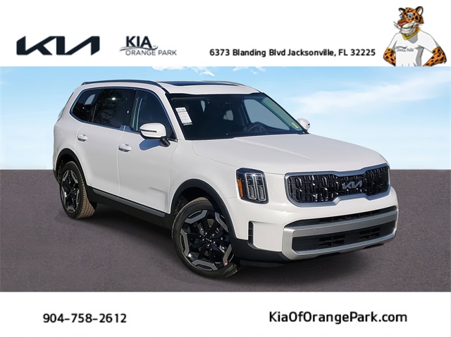 2025 Kia Telluride EX photo 2
