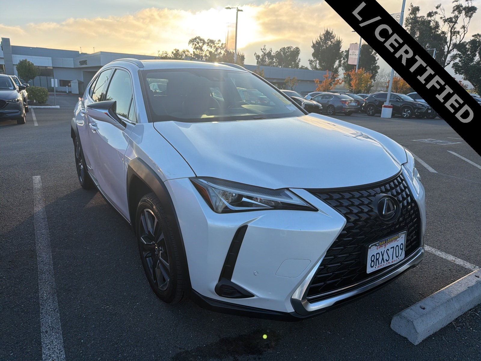 2020 Lexus UX Hybrid 250h's photo
