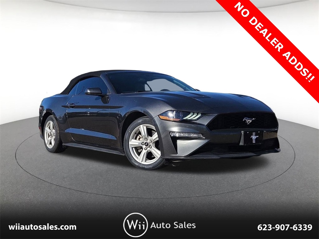 2019 Ford Mustang EcoBoost's photo