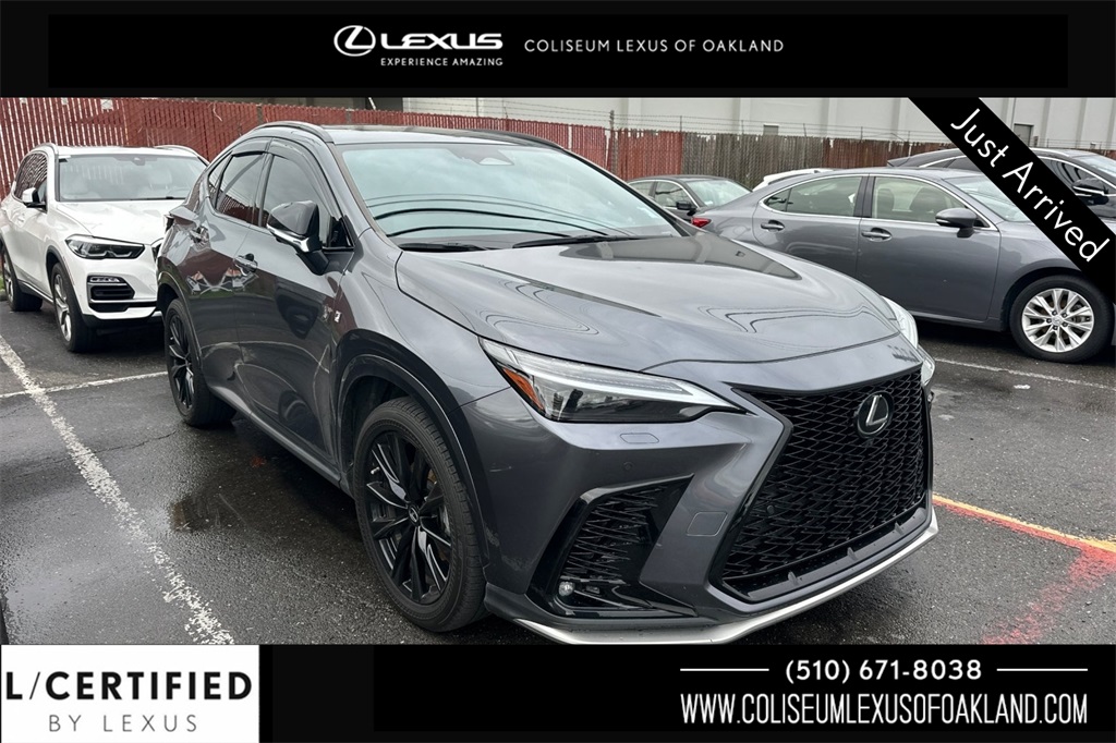 2022 Lexus NX PHEV 450h+'s photo