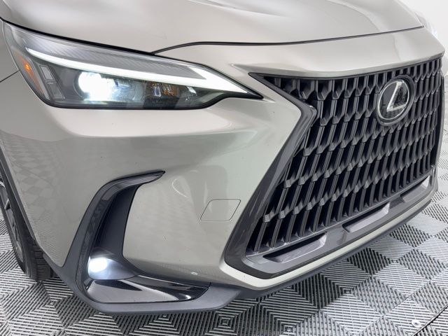 2022 Lexus NX 350 Premium photo 4