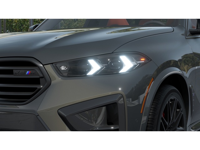 2026 Bmw X5 photo 4