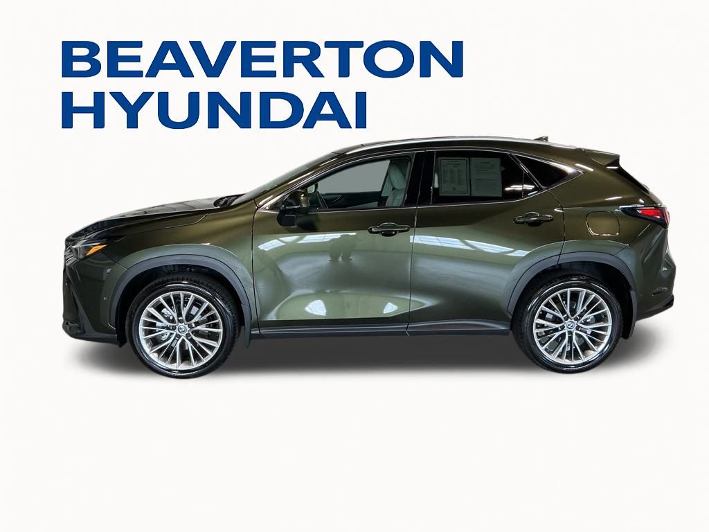 2025 Lexus NX 350 Luxury photo 3