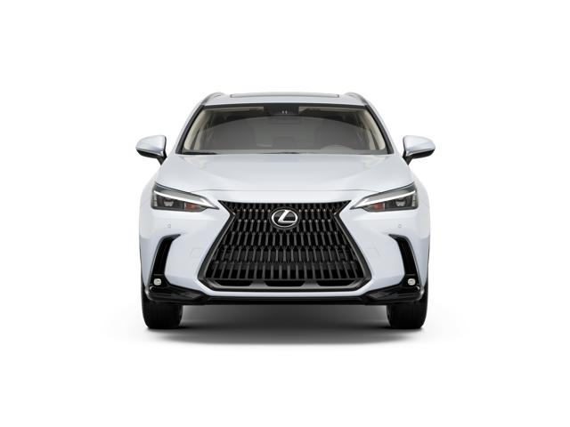 2026 Lexus NX 350h Premium photo 3
