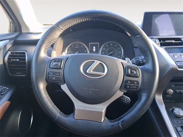 2019 Lexus NX 300 Luxury photo 12