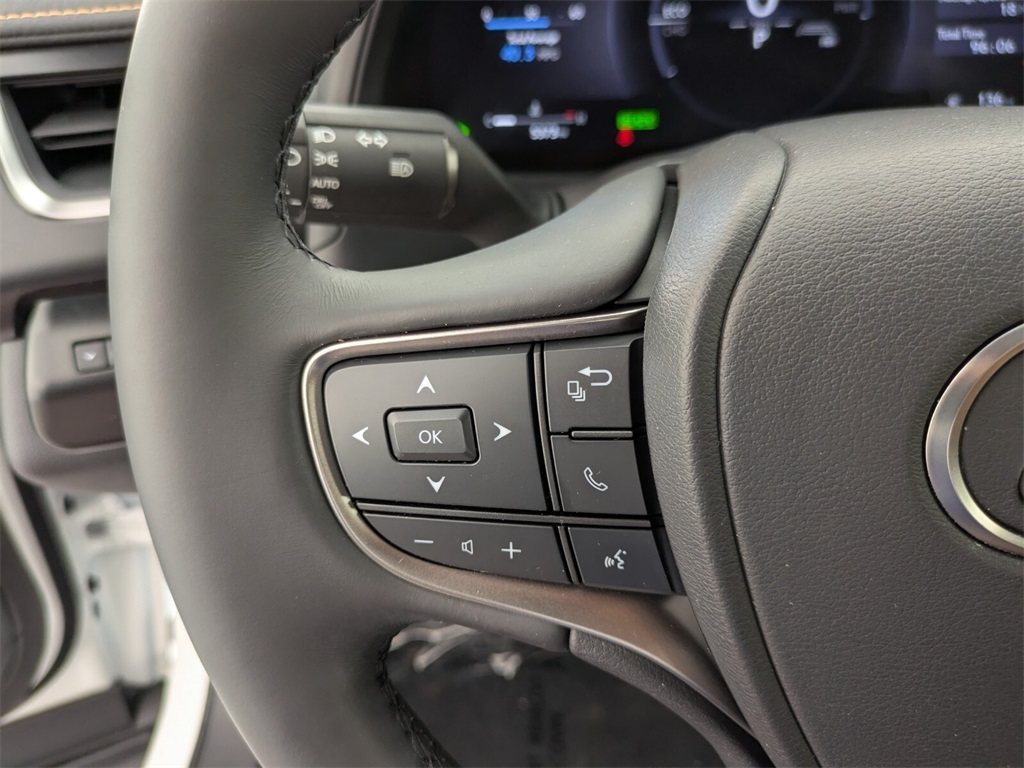 2025 Lexus UX photo 19