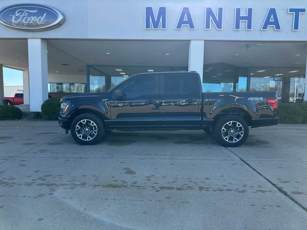 2025 Ford F-150 STX photo 3