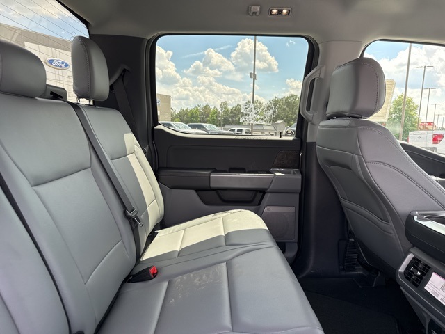 2025 Ford F-150 Lightning photo 18
