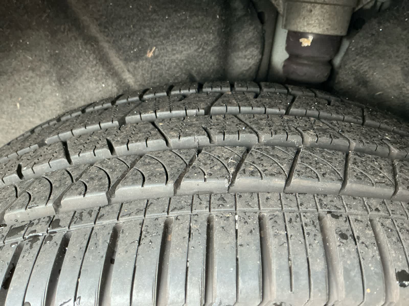 Image of Pre-Owned 2019 Audi SQ5 Prestige