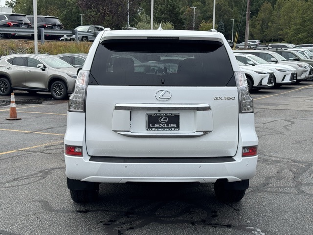 2018 Lexus GX 460 photo 5