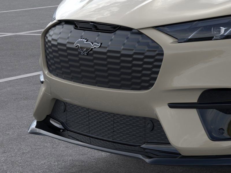 2025 Ford Mustang Mach-E Premium photo 16