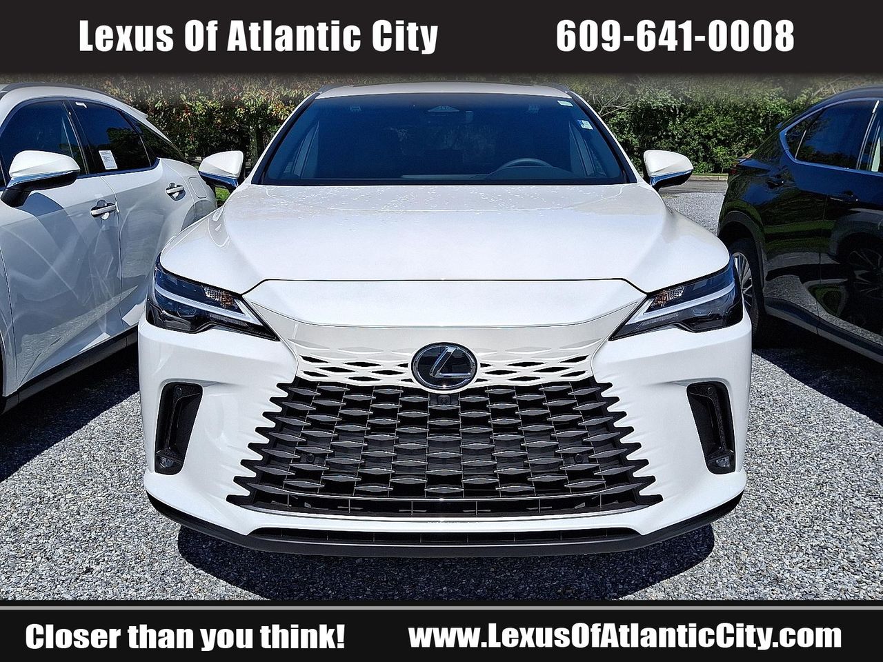 2025 Lexus RX 350 photo 2