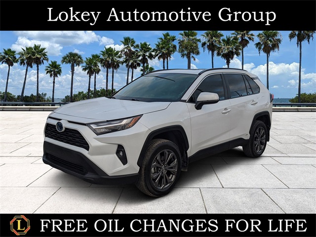 2024 Toyota RAV4 XLE Premium's photo
