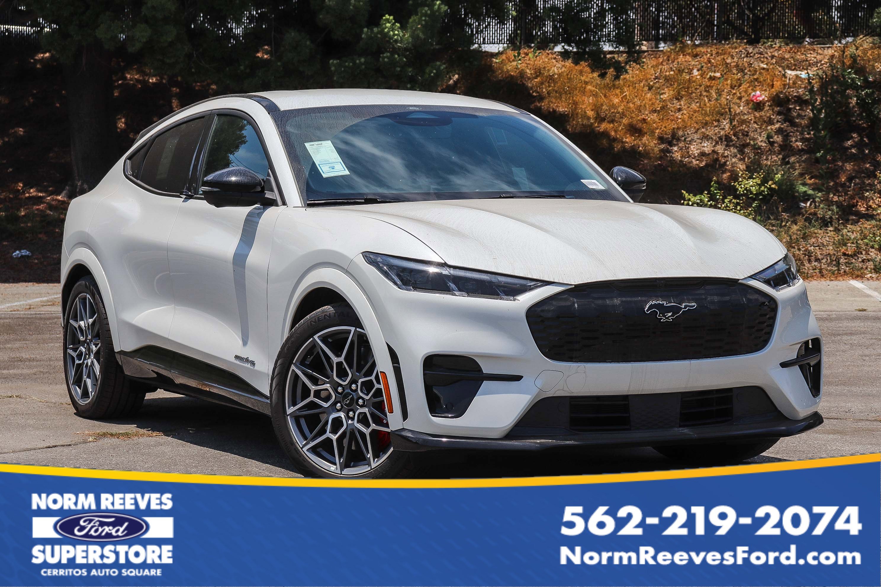 2025 Ford Mustang Mach-E GT AWD's photo