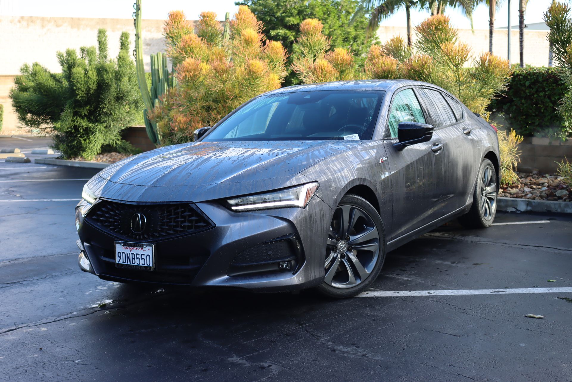 2022 Acura TLX A-SPEC Package's photo