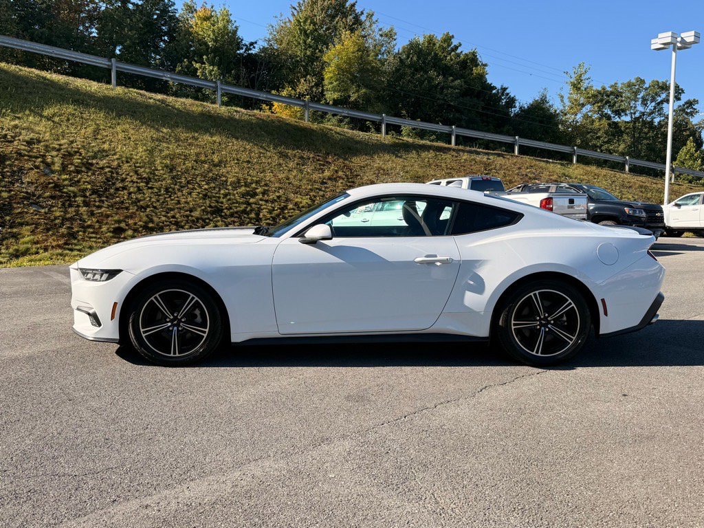 2024 Ford Mustang EcoBoost Premium photo 2