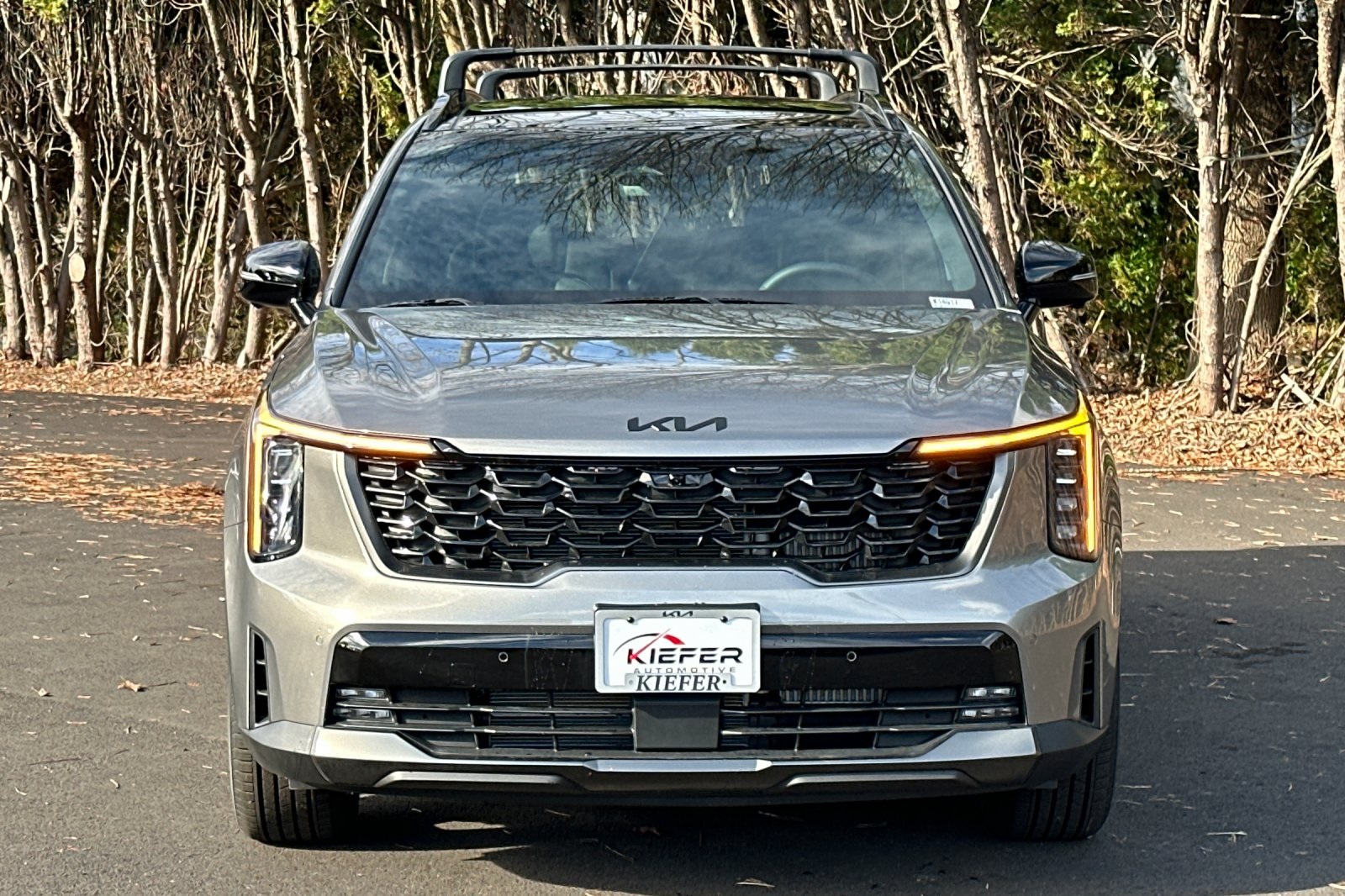 2026 Kia Sorento Plug-In Hybrid SX Prestige photo 4