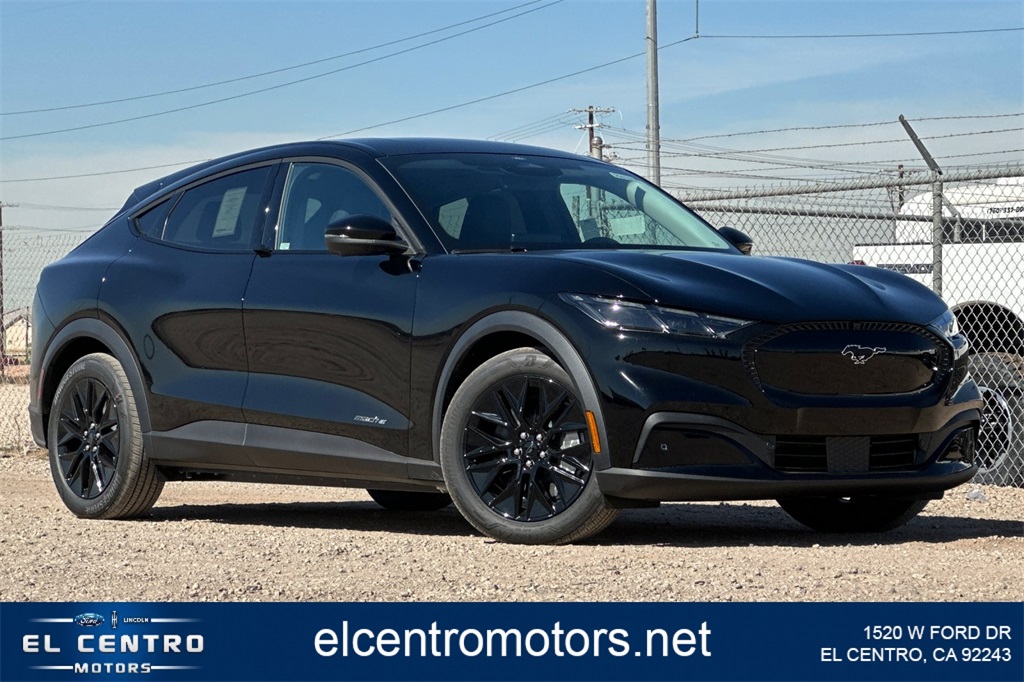 2025 Ford Mustang Mach-E Select RWD's photo