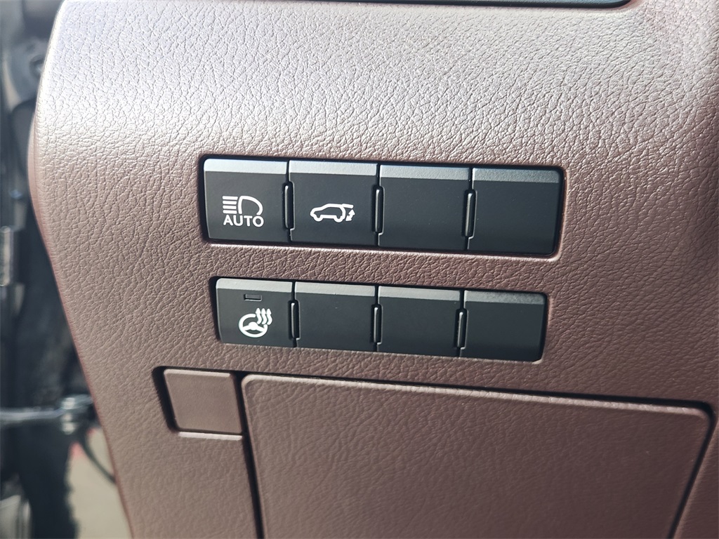 2019 Lexus RX 350L photo 17