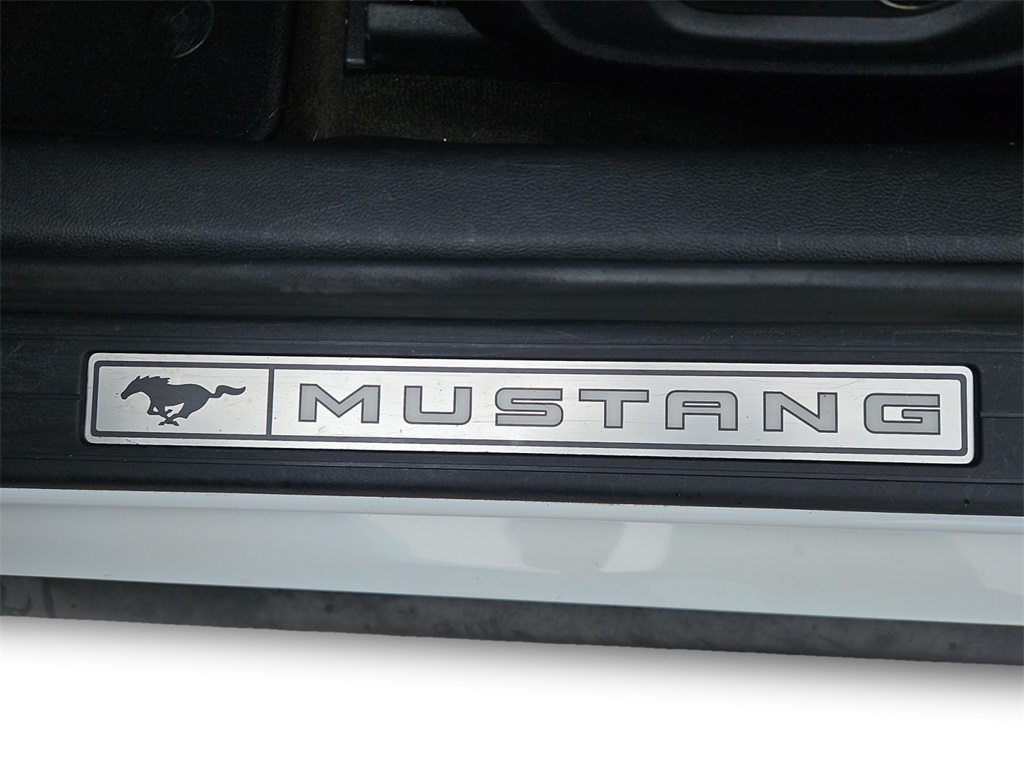 2017 Ford Mustang EcoBoost Premium photo 13