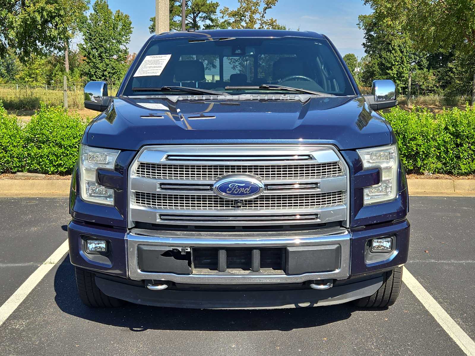 2016 Ford F-150 Platinum photo 2